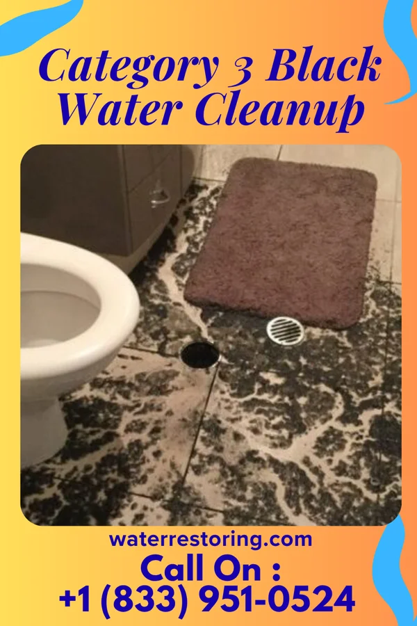 Category 3 Black Water Cleanup in Alder, WA